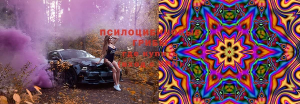 соль ск Алексеевка