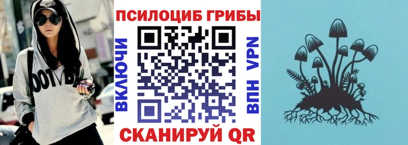 купить   Арсеньев  Галлюциногенные грибы GOLDEN TEACHER 